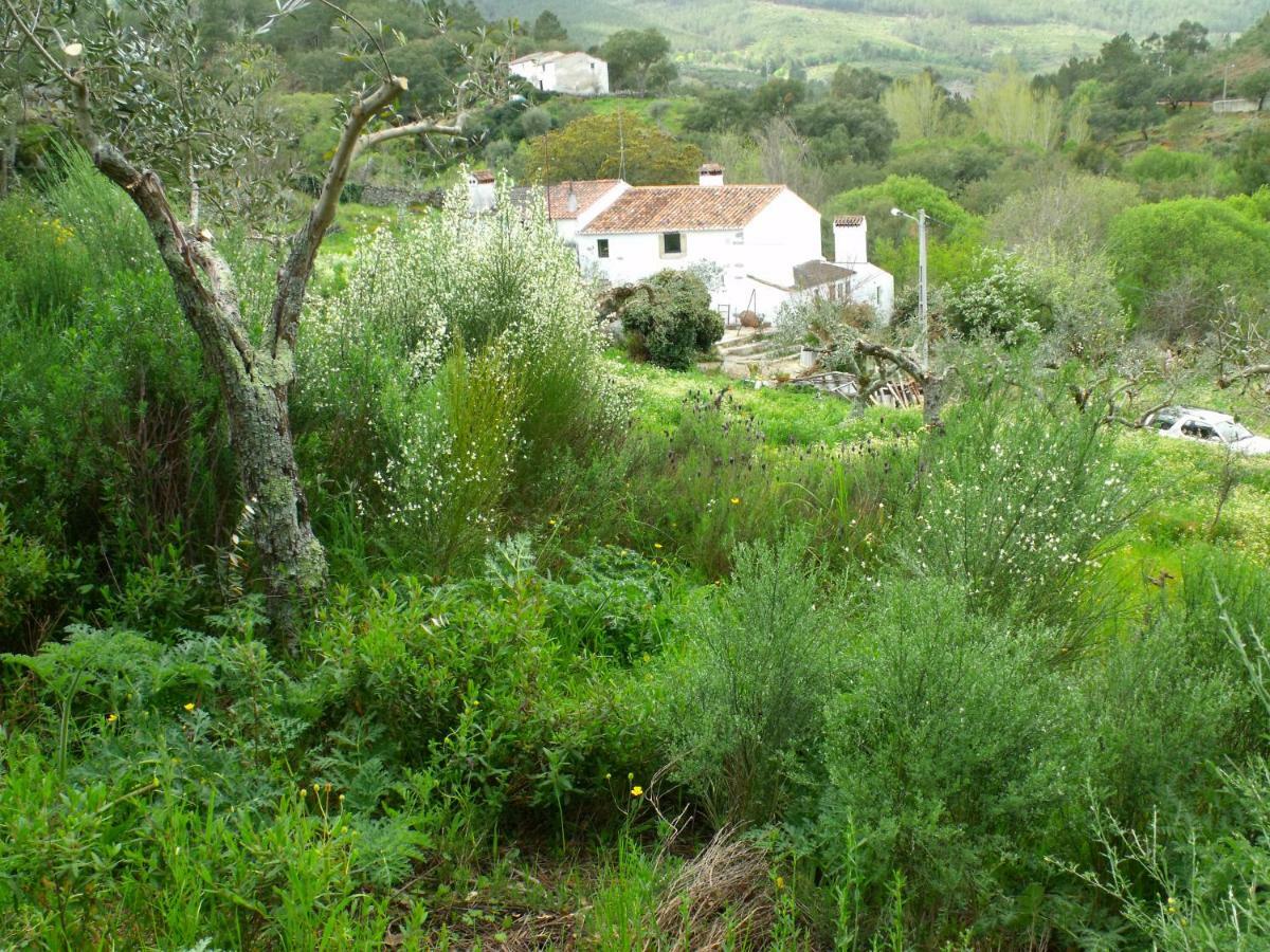 Terrafazbem Villa Marvão Eksteriør billede